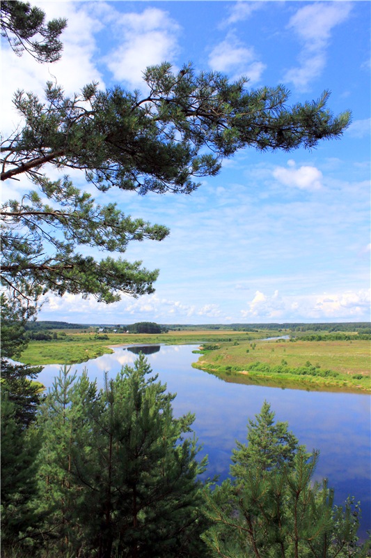 Летнее путешествие с Бенни | Бэйбики Летнее путешествие с Бенни (фото 6)