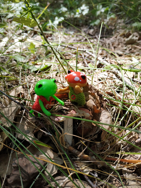 Wonderfrog. Красота в простоте. Часть 2 (фото 8)