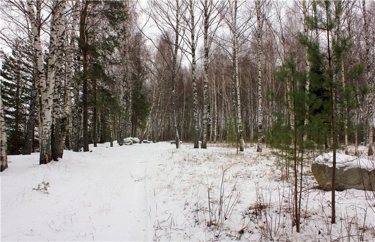 Бейли и Дий. Mini Bailey SK от Meadow dolls