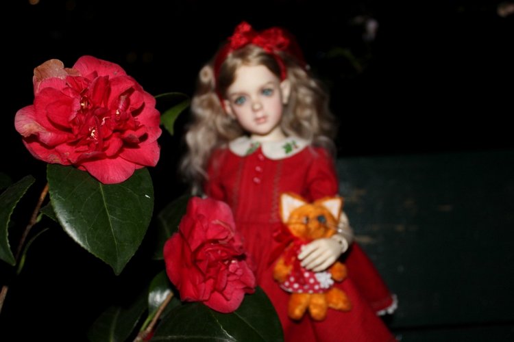 Розочка в вечернем саду — Куклы Dollshe Craft (Доллше): BJD (БЖД)