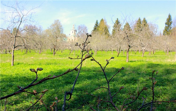 Путешествие Софи в Старицу, продолжение. Lati HoneyBee New Mystic Sophie