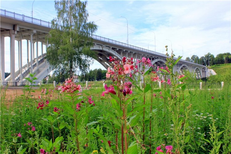 Июльское путешествие в Старицу, продолжение