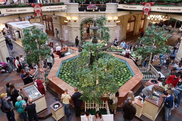 Знакомьтесь, новый вид медведей - медведь сумочный