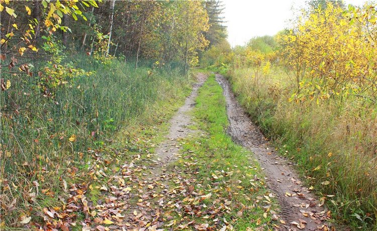 Путешествие Имани на Волгу, продолжение. Mini Imani от Kaye Wiggs