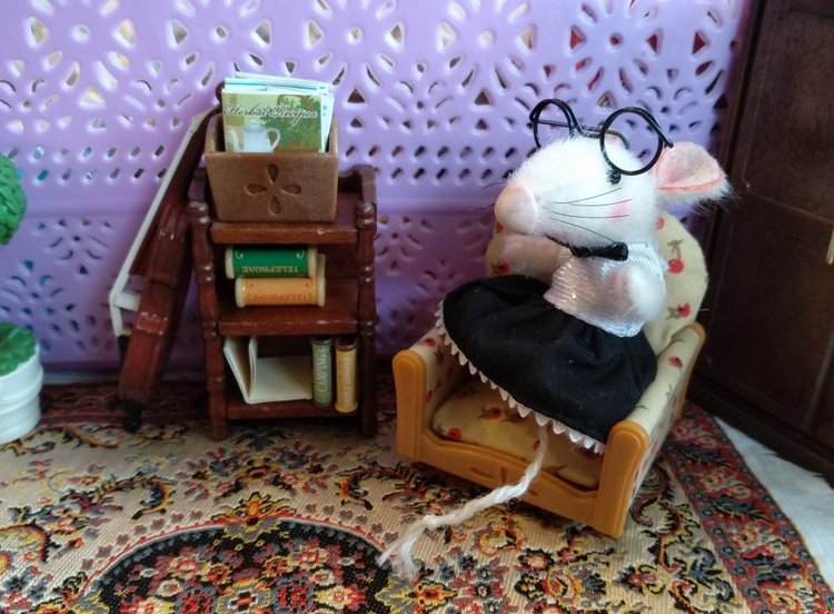 Когда не понятно Он или Она (фото 5)