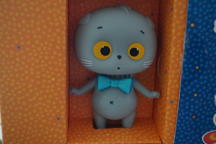 Агашина покупочка — Кот Басик (фото 5)