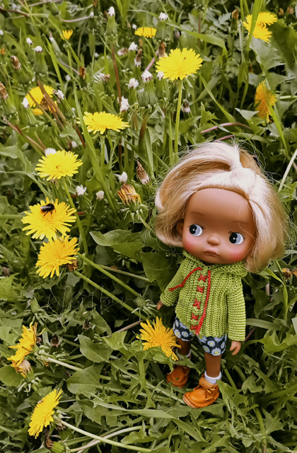 Holala Pipita Peter — Куклы Holala (Холала) от Jenny Fairytown: Pipita