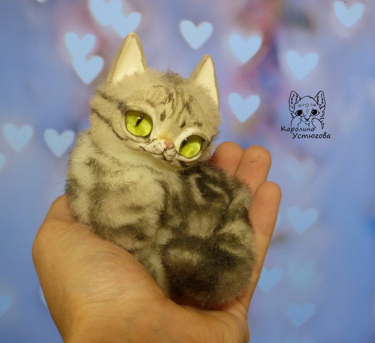 Американские короткошерстные котята (фото 9)