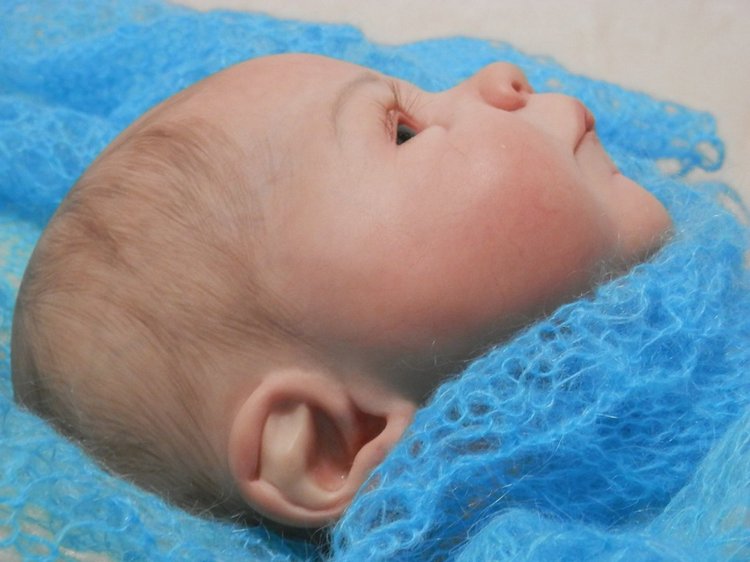 Хомячок Сили. Кукла реборн Шутовой Анны (фото 9)