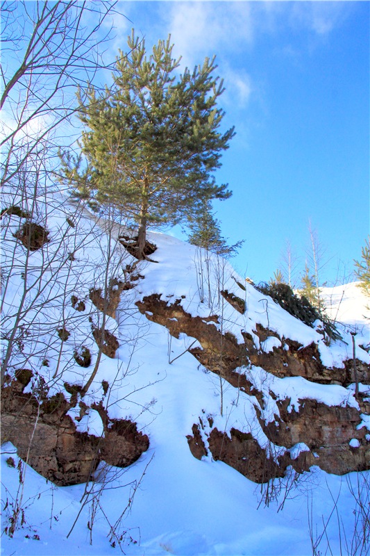 Зимняя прогулка Сони. Уникальная кукла от Сильвии Наттерер