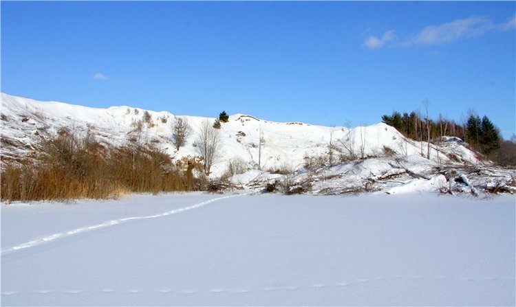 Зимняя прогулка Сони. Уникальная кукла от Сильвии Наттерер