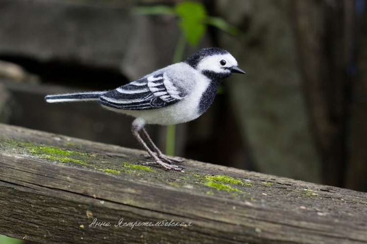 Белая трясогузка — Валяные игрушки из шерсти: сухое валяние