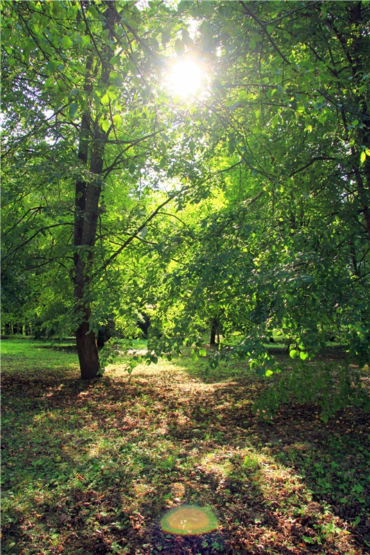 Августовская прогулка в Берново. Zwergnase Mischa