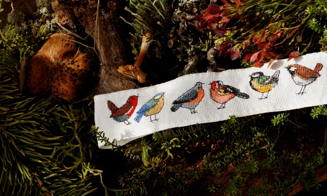 Осенний натюрморт — Другие хобби и увлечения: сад