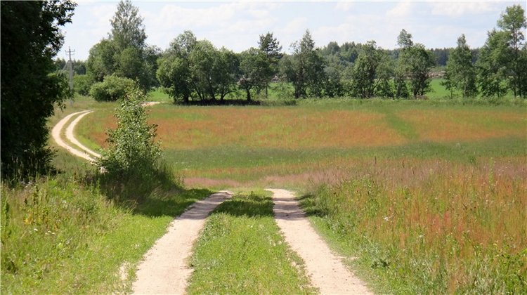 Девочка и Ёжик. Minifee Miyu FairlyLand | Бэйбики Девочка и Ёжик. Minifee Miyu FairlyLand