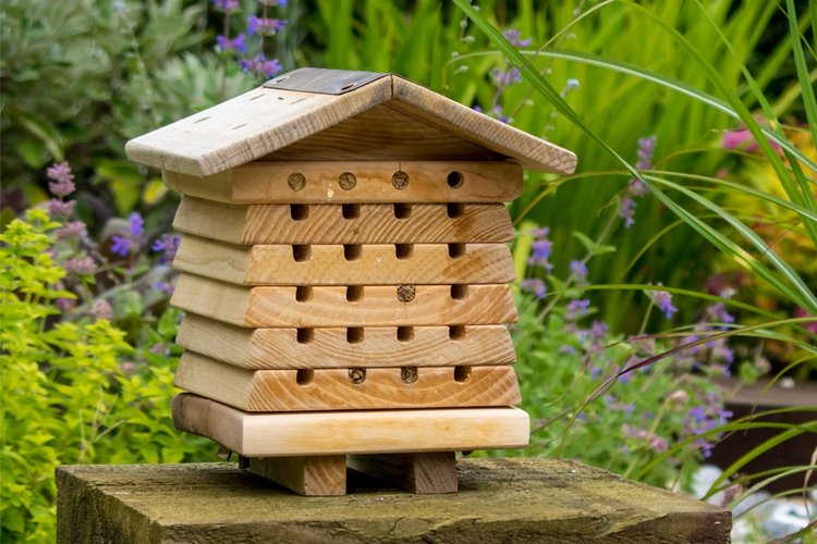 30 марта — народный праздник Алексей Теплый (фото 7)