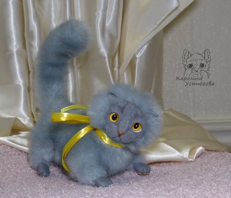 Котенок. Шотландский вислоухий (фото 9)
