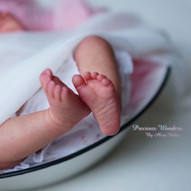 Молд Sparrow Скульптор Mayra Garza