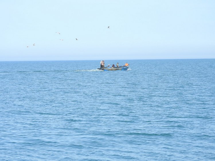 Сочи-Адлер: Южное Взморье - Красоты Черного Моря