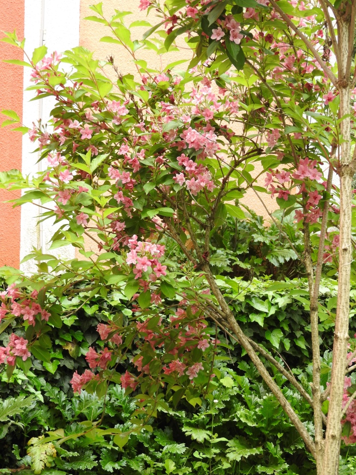 Сочи-Адлер: Южное Взморье - Мои любимые куколки на отдыхе