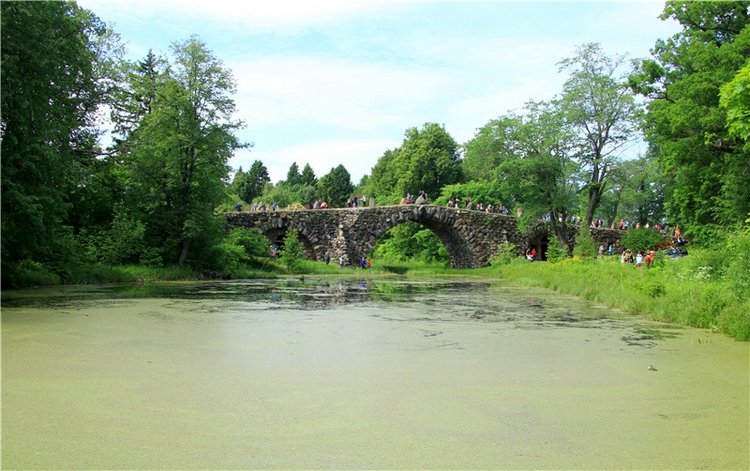 "Троицкие гуляния" в Василёво, 2018 год. Архитектурно-этнографический музей под открытым небом Василёво
