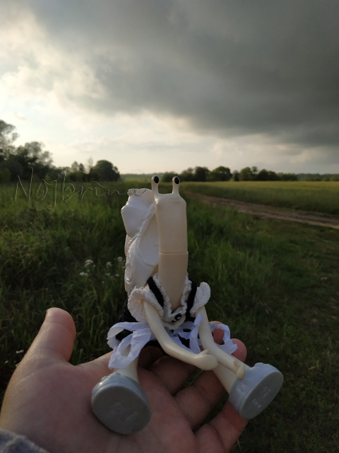 Wonderfrog. Красота в простоте