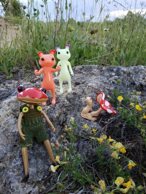 Wonderfrog. Красота в простоте