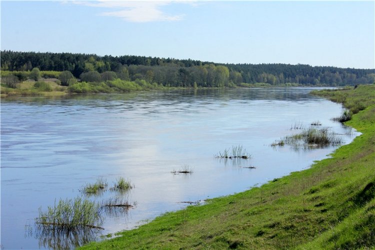 Долгая дорога к Волге. Custom Blythe Doll UFO Go Go Takara