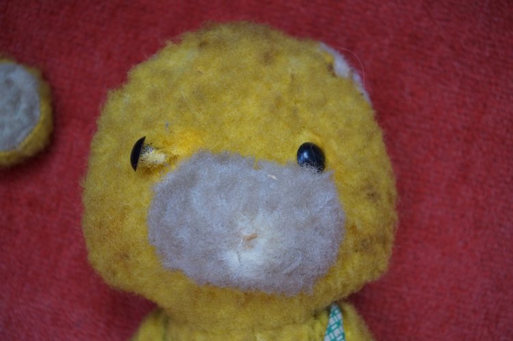 Ура! Суббота! Выписка куколок