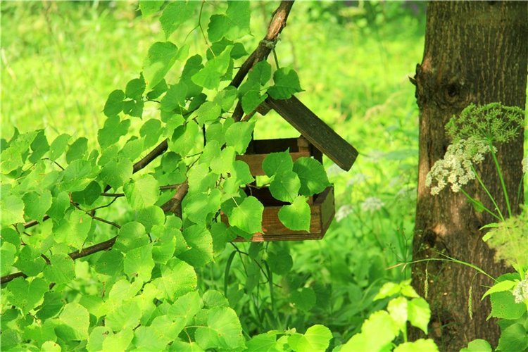 Путешествие Виолы в Усадьбу Знаменское-Раёк