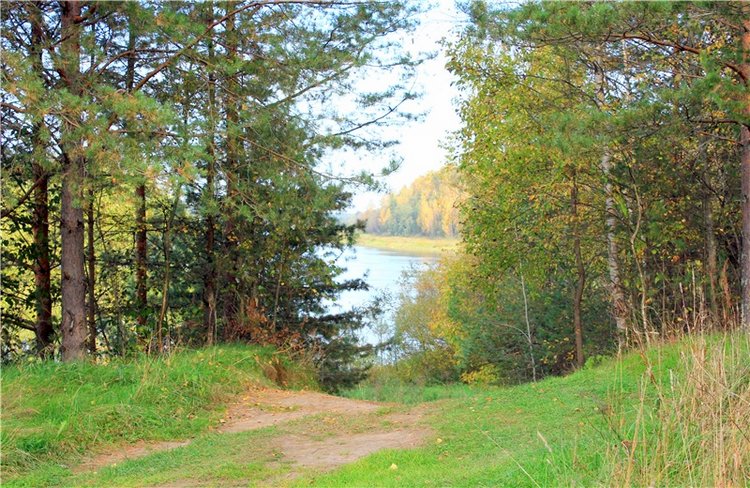 Путешествие Имани на Волгу, продолжение. Mini Imani от Kaye Wiggs