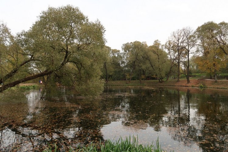 Крошка Элис | Бэйбики Крошка Элис — Куклы Fairyland (ФэйриЛэнд): BJD (БЖД)