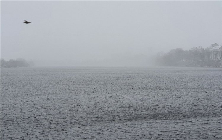 Непогода нынче в моде — Куклы Meadow dolls (Медовушки): BJD (БЖД)