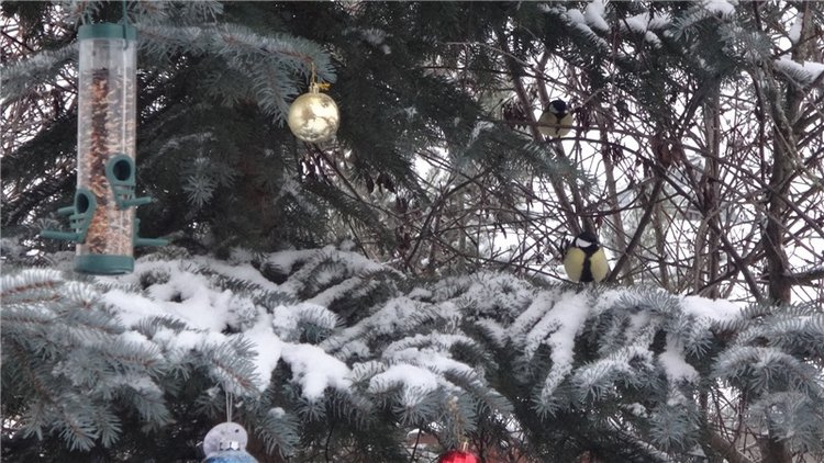 Счастье есть! Продолжение