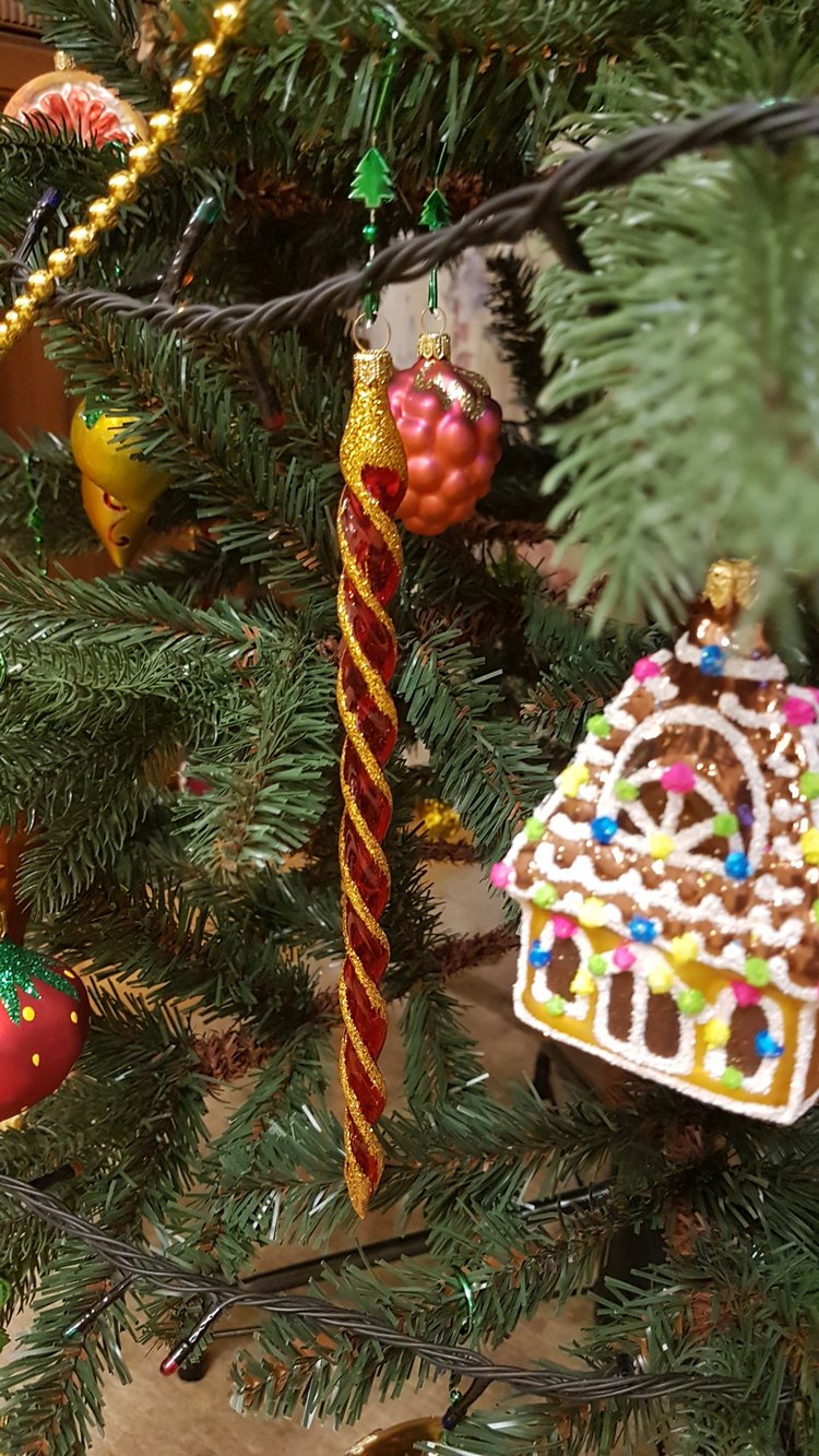 В степи родилась ёлочка, в жару она росла