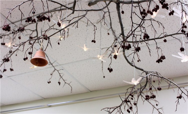 Тверской Ботанический Сад, продолжение | Бэйбики Тверской Ботанический Сад, продолжение