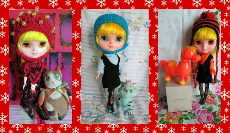 Моя Бегония совсем не цветок (фото 5)