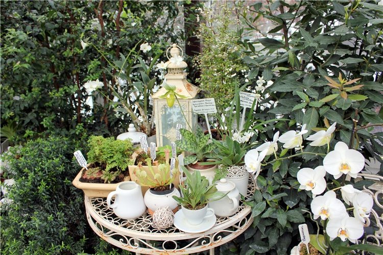 Тверской Ботанический Сад, продолжение | Бэйбики Тверской Ботанический Сад, продолжение