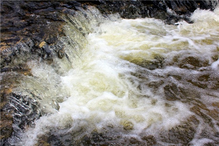 Путешествие Имани в ПанИку