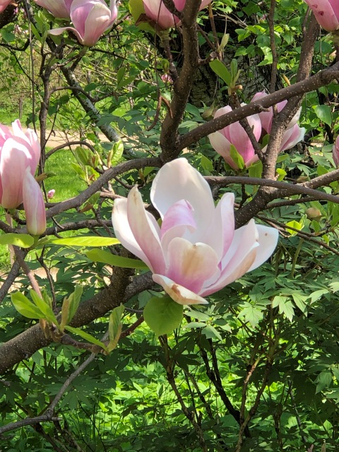 Тони Старк: приключения без брони. Был месяц май, половина вторая