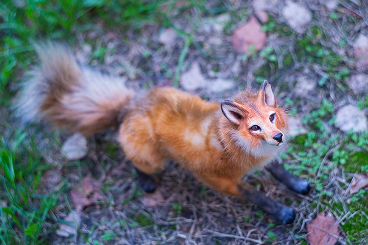 Ветер августа — Фотоистории с куклами BJD (БЖД): сериалы (фото 7)