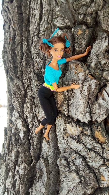 Барби-йога, здоровый образ жизни (фото 8)