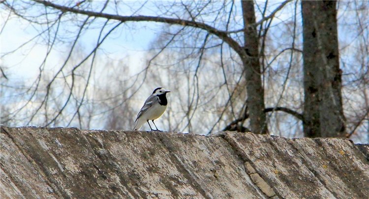 Усадьба Чукавино, Тверская область
