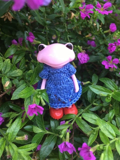 Таша Wonderfrog в Черногории