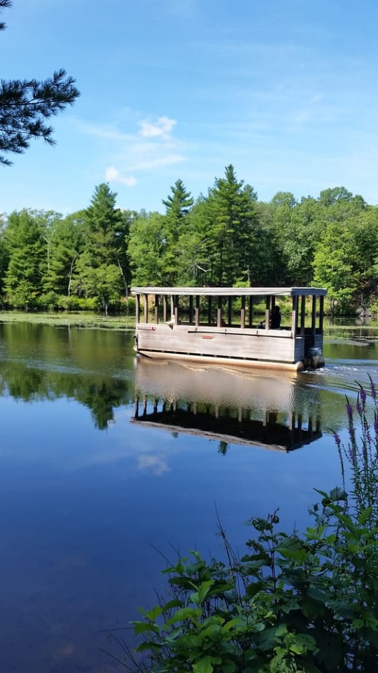 Прокатимся на машине времени? Поселение Старбридж. Новая Англия. 1830 год