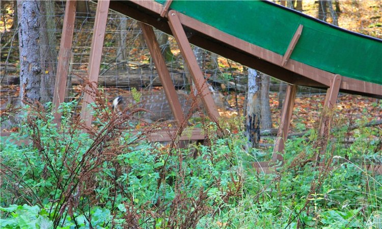 Нийя. Воспоминание об осени, Чукавино, Эко-Лэнд (фото 8)