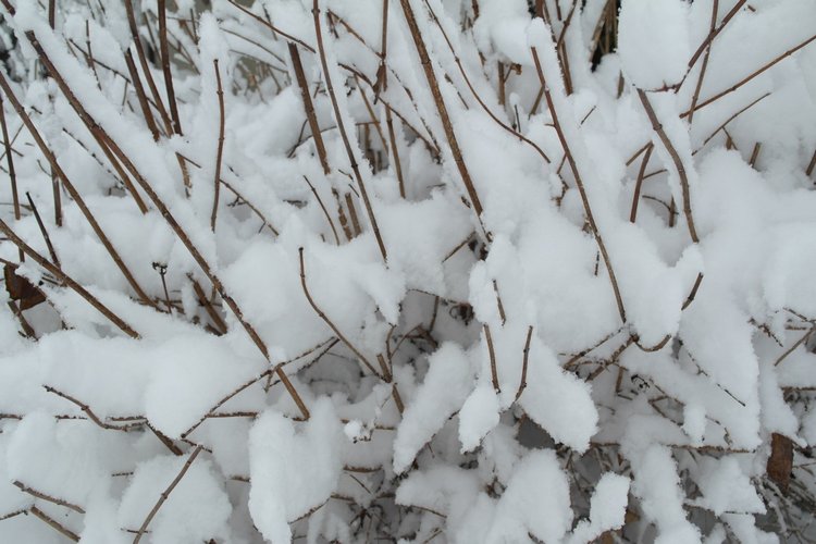 Время длинных шарфов — Игровые куклы Zwergnase (Цвергназе) Junior: Джуниор (фото 5)