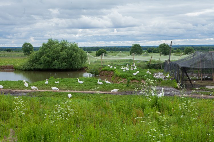 Первая поездка Мари с братьями эльфами (2 часть)