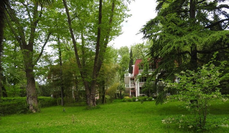 Сочи-Адлер: Южное Взморье - виртуальное путешествие по территории санатория