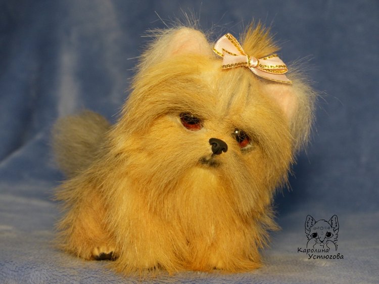 Щенок Йоркширского терьера (фото 6)